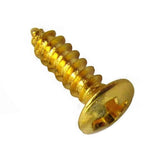 Set de 50 vis couleur gold pour pickguard - D 3 x 12 mm